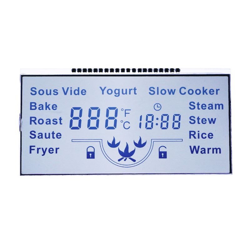 Segment LCD Displays